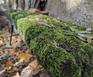 NIECOdziennik Muzealny - Ogrody Wiecznej Pamięci NIECOdziennik Muzealny - Ogrody Wiecznej Pamięci