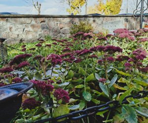 NIECOdziennik Muzealny - Ogrody Wiecznej Pamięci NIECOdziennik Muzealny - Ogrody Wiecznej Pamięci