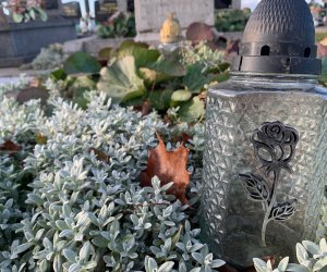 NIECOdziennik Muzealny - Ogrody Wiecznej Pamięci NIECOdziennik Muzealny - Ogrody Wiecznej Pamięci