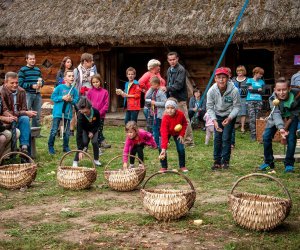 Jesień w polu i zagrodzie