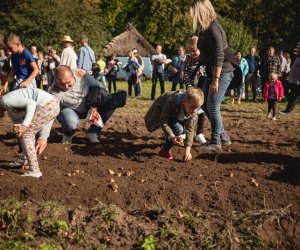 Jesień w polu i zagrodzie - fotorelacja