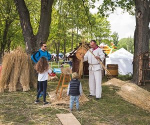 Piknik "Poznaj dobrą żywność" 2019 - fotorelacja