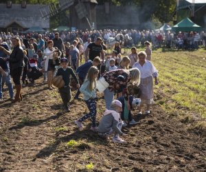 Jesień w polu i zagrodzie 2021 - fotorelacja