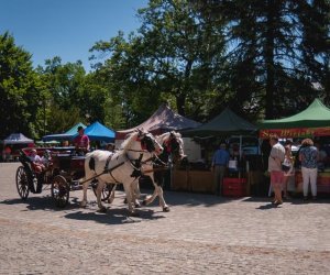 Odpust na św. Antoniego 2019