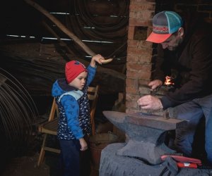 Jesień w polu i zagrodzie - fotorelacja