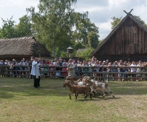 XX Podlaskie Święto Chleba - fotorelacja