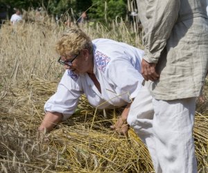 XX Podlaskie Święto Chleba - fotorelacja