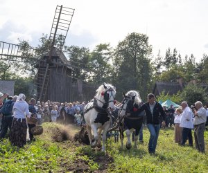 „Jesień w polu i zagrodzie” 2023 r. - fotorelacja i podsumowanie