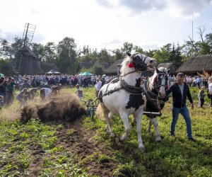 „Jesień w polu i zagrodzie” 2023 r. - fotorelacja i podsumowanie