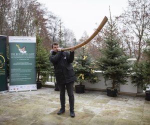 41. Konkurs Gry na Instrumentach Pasterskich im. Kazimierza Uszyńskiego - fotorelacja