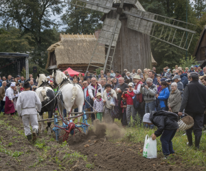 DZIAŁ HISTORII UPRAWY ROŚLIN I HODOWLI ZWIERZĄT