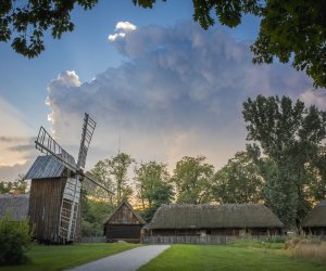 Wiatrak koźlak z Niemyj Nowych