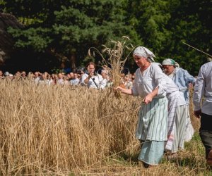 XIX Podlaskie Święto Chleba - fotorelacja