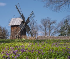 „Na świętego Wojciecha pierwsza wiosny pociecha”