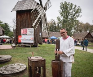 Jesień w polu i zagrodzie - fotorelacja