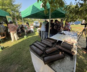 Warsztaty Tradycyjnego Wypieku Chleba - fotorelacja Warsztaty Tradycyjnego Wypieku Chleba - fotorelacja