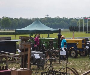 Piknik "Poznaj dobrą żywność" 2019 - fotorelacja