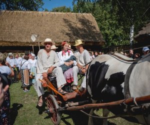 XIX Podlaskie Święto Chleba - fotorelacja