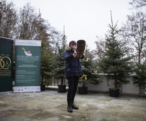 41. Konkurs Gry na Instrumentach Pasterskich im. Kazimierza Uszyńskiego - fotorelacja