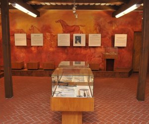 Odnowiona ekspozycja Muzeum Weterynarii