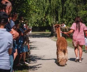 XIX Podlaskie Święto Chleba - fotorelacja