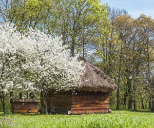 DZIAŁ BUDOWNICTWA WIEJSKIEGO