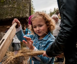 Jesień w polu i zagrodzie