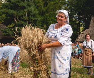 XIX Podlaskie Święto Chleba - fotorelacja