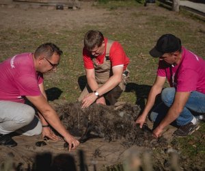 Jesień w polu i zagrodzie - fotorelacja