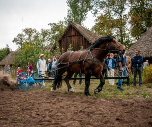 Jesień w polu i zagrodzie