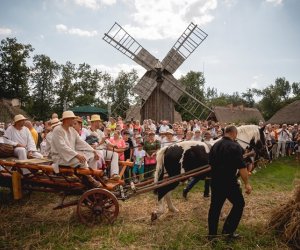 XIX Podlaskie Święto Chleba - fotorelacja