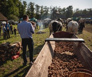 Jesień w polu i zagrodzie - fotorelacja