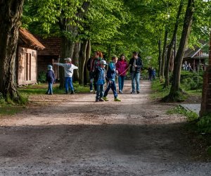 Noc Muzeów