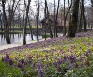 „Na świętego Wojciecha pierwsza wiosny pociecha”