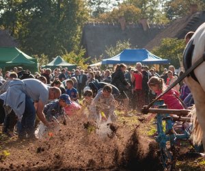 Jesień w polu i zagrodzie - fotorelacja