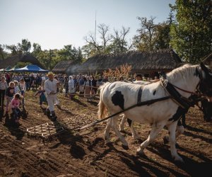 Jesień w polu i zagrodzie - fotorelacja