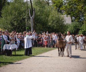 XIX Podlaskie Święto Chleba - fotorelacja