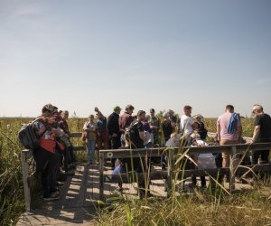 Konferencja naukowo-szkoleniowa: Parazytozy zwierząt - aktualne zagrożenia - nowe rowiązania terapeutyczne - fotorelacja