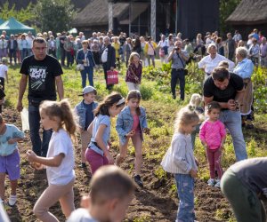 „Jesień w polu i zagrodzie” 2023 r. - fotorelacja i podsumowanie