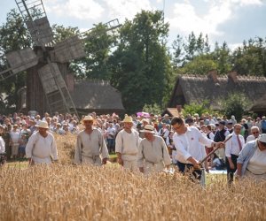 XIX Podlaskie Święto Chleba - fotorelacja