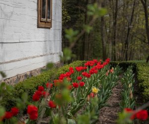 Codziennik Muzealny - Wiosna w ciechanowieckim muzeum