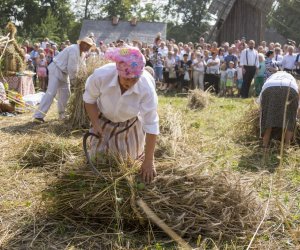 XX Podlaskie Święto Chleba - fotorelacja