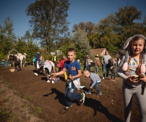 Jesień w polu i zagrodzie - fotorelacja