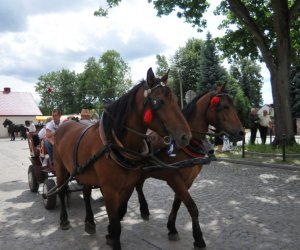 VIII Zajazd Wysokomazowiecki, 15.07.2012.