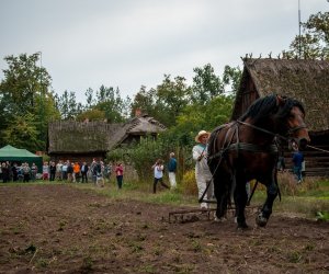 Jesień w polu i zagrodzie