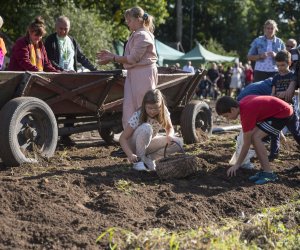 Jesień w polu i zagrodzie 2021 - fotorelacja