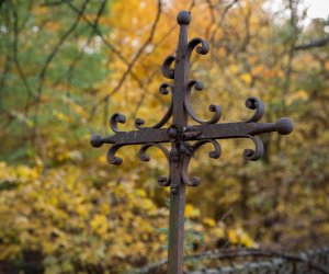 NIECOdziennik muzealny - „A naród płynął całą drogą pod topolami ku cmentarzowi…”