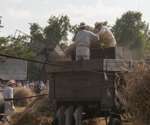 XX Podlaskie Święto Chleba - fotorelacja