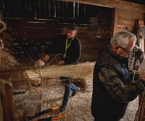 Jesień w polu i zagrodzie - fotorelacja