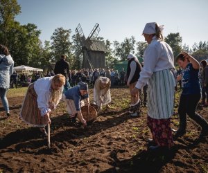 Jesień w polu i zagrodzie - fotorelacja